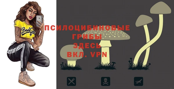 метадон Лихославль