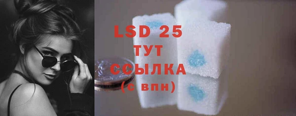 ГАЛЛЮЦИНОГЕННЫЕ ГРИБЫ Липки