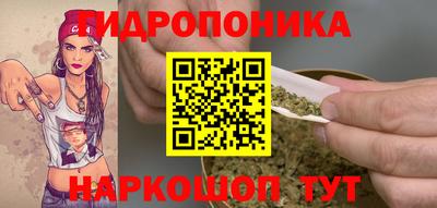 эйфоретик Дубна