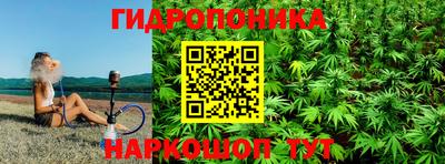 шишки Донецк