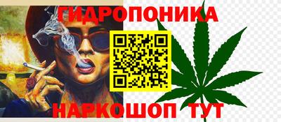 шишки Донецк