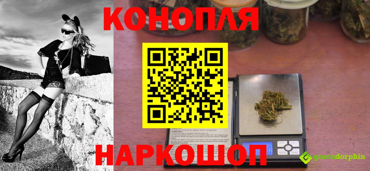 МАРИХУАНА сатива Кудымкар